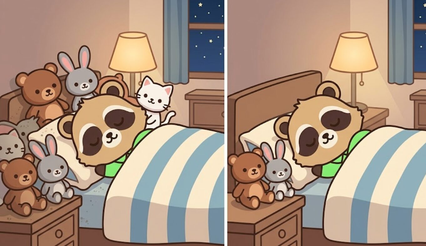 夜の寝室で布団の中で眠るたぬきと、枕元のぬいぐるみが多い状態と少なく整えた状態を左右で比較したアイキャッチイラスト